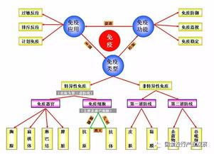 分享 pd 1免疫检验点单抗行业分析